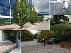 Außenanlage, Winteridnets, Grundstückspflege, Gartenpflege, Außenanalage, Zaunreparatur, Unkrautentfernung, Reinigung